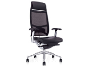 Mesh Executive Chair