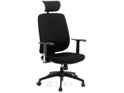 Mesh Executive Chair CG-LX049B