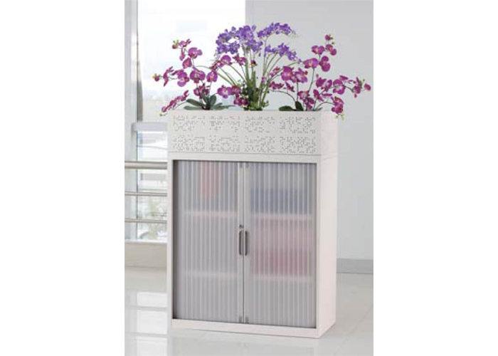 Steel Furniture|Roller Shutter Door Cabinet|Office Furniture|Tambour-door Filing|�ļ���|���Ź� CG-STS-F303