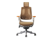Mesh Executive ChairCG-WAU-01H_Office Furniture_Mesh Executive Chair_Office Chair
