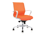 Mesh Staff Chair